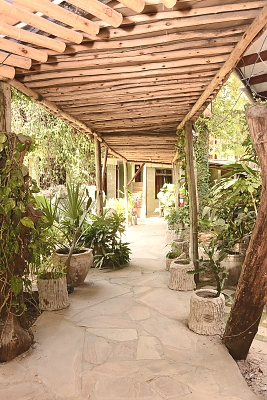 Wistas Inn Hotel 14