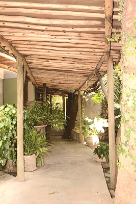 Wistas Inn Hotel 17