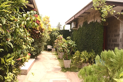 Wistas Inn Hotel 19