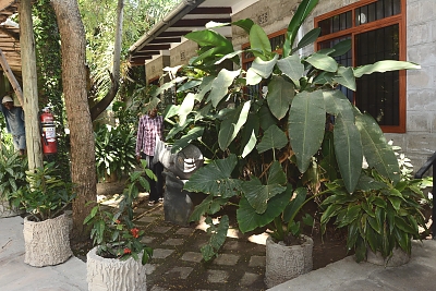 Wistas Inn Hotel 29