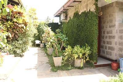 Wistas Inn Hotel 33